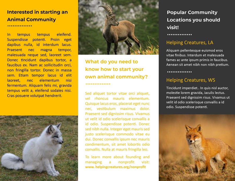 Animal community Tri Fold Brochure - Page 02