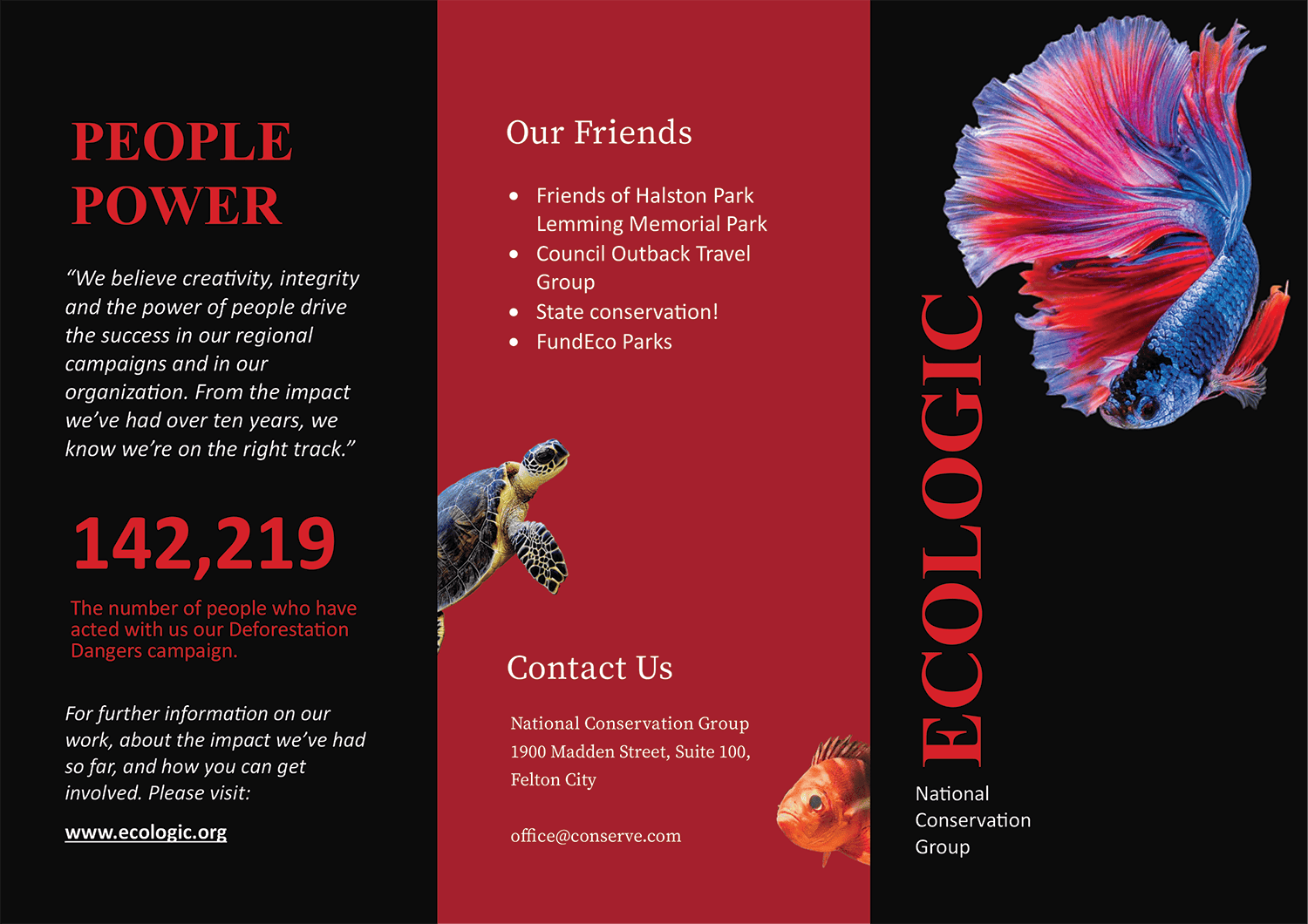 A4 National Conservation Group Brochure Template - Page 01