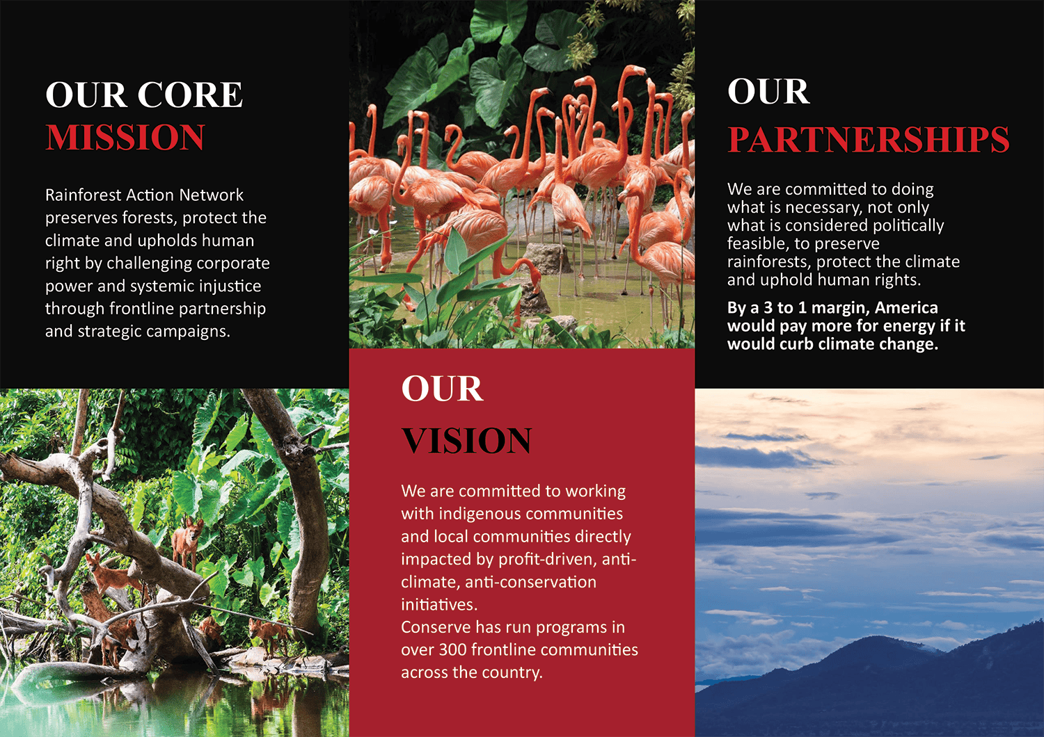 A4 National Conservation Group Brochure Template - Page 02