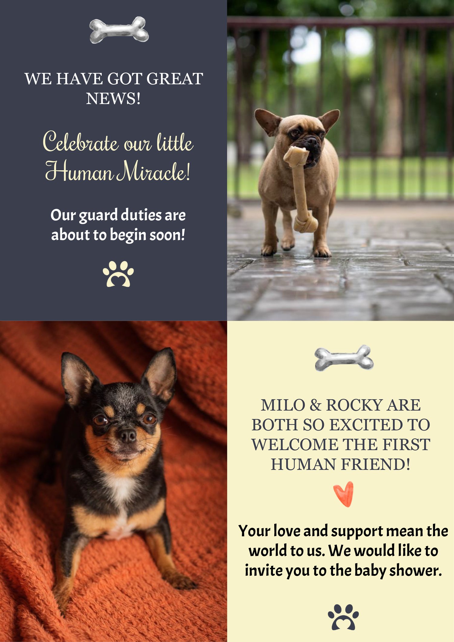 Pet-Themed Pregnancy Announcement Template - Page 01