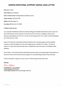 Emotional Support Animal (ESA) Letter - Word | Google Docs | PDF