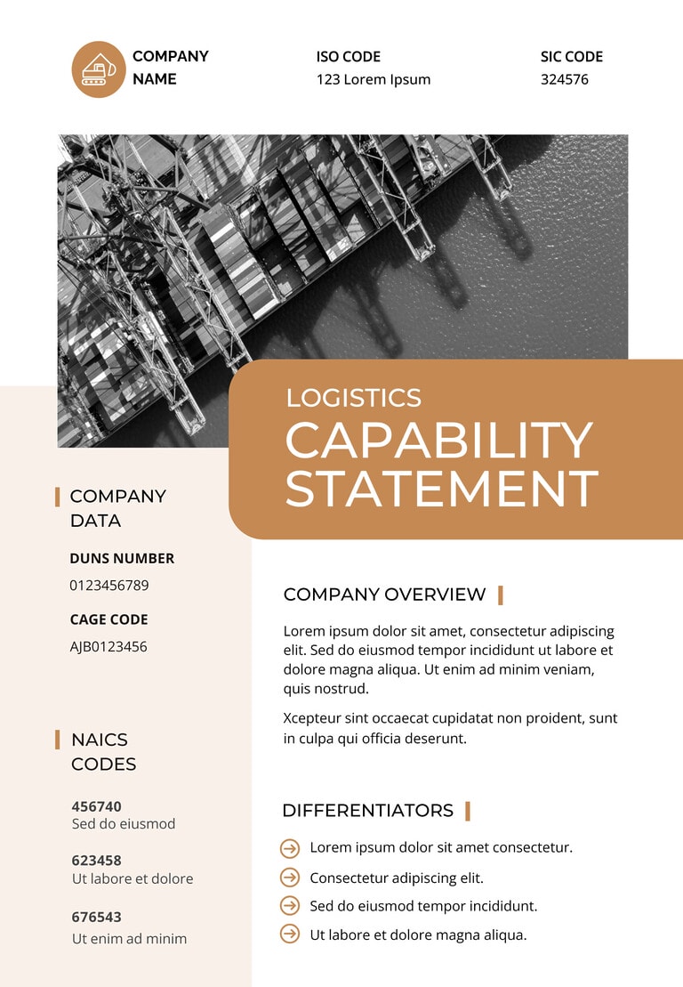Free Customizable Capability Statement Templates - Docformats.net