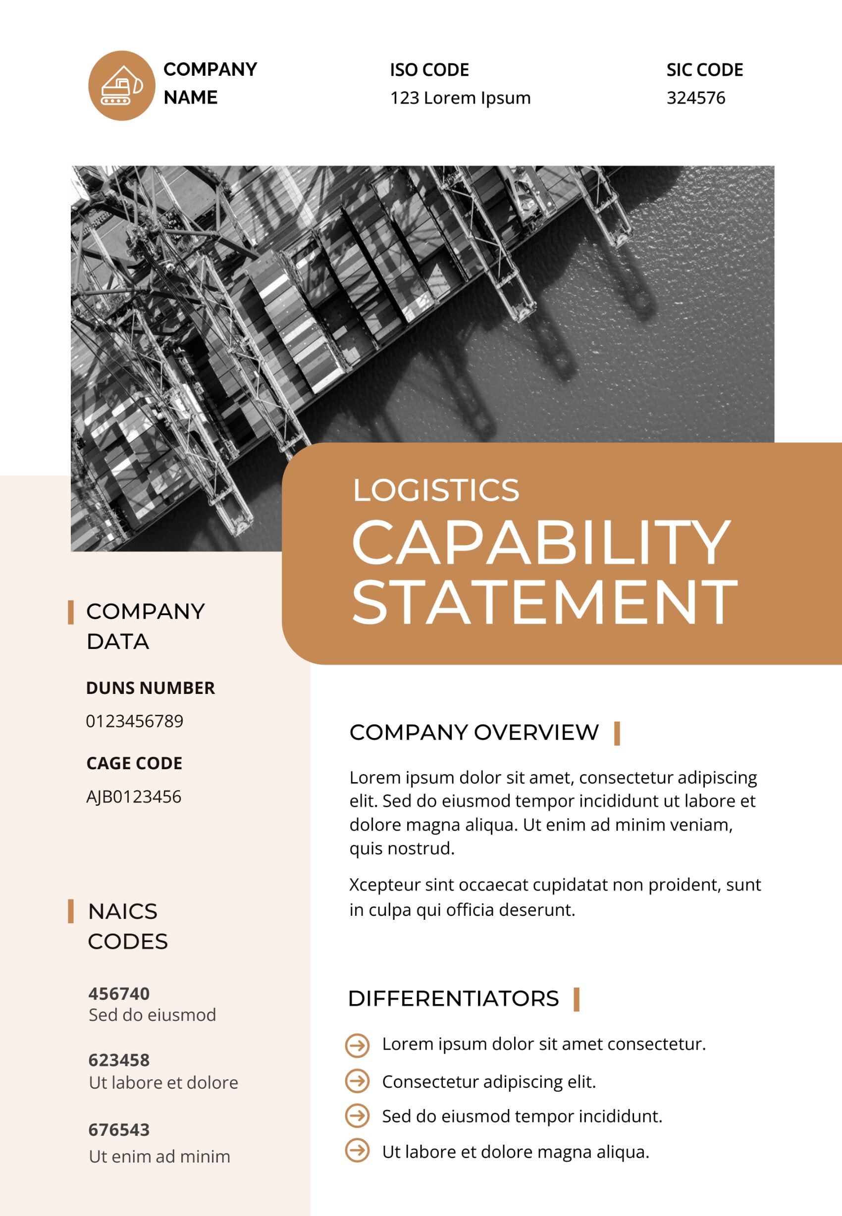 Free Customizable Capability Statement Templates - Docformats.net